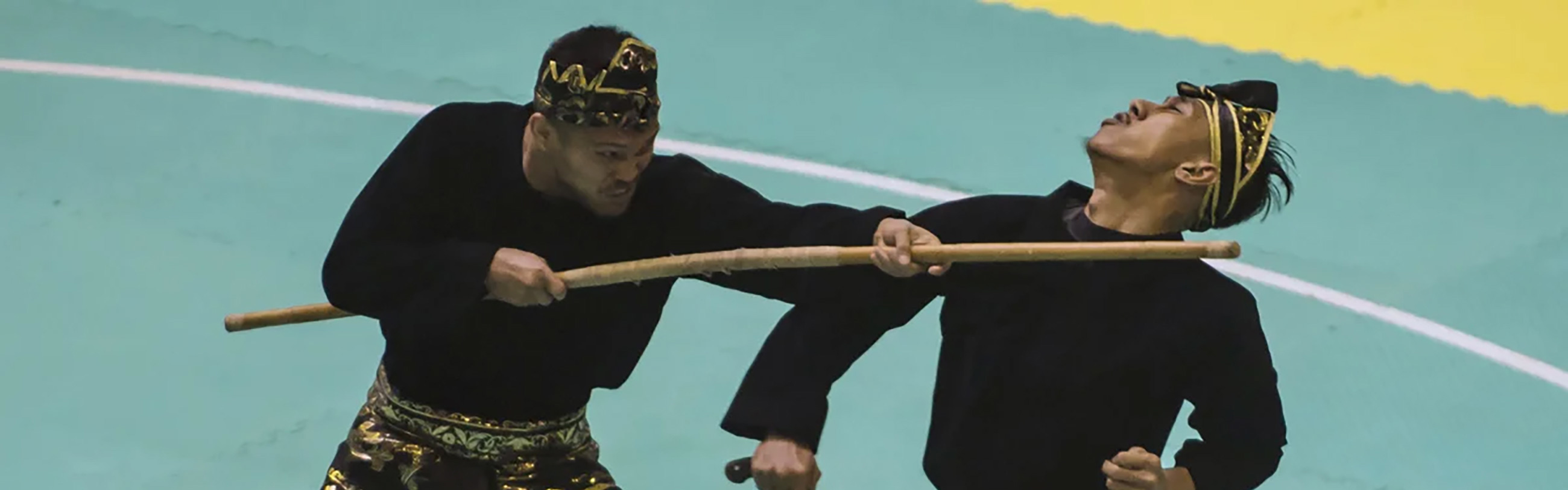 Pencak Silat Setia Hati
